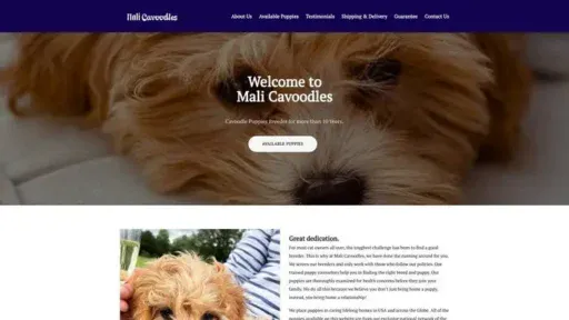 Screenshot of