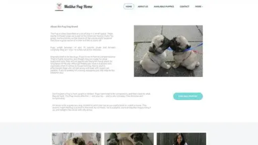 Screenshot of