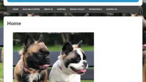 Screenshot of