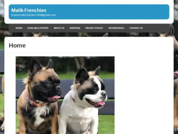 Screenshot of