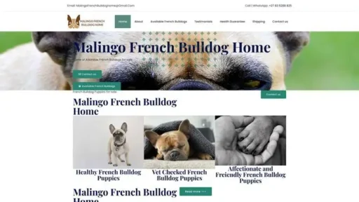 Screenshot of