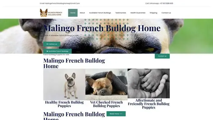 Screenshot of