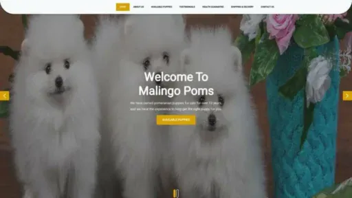 Screenshot of||