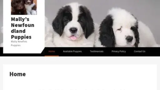 Screenshot of