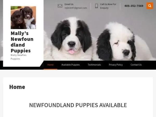 Screenshot of
