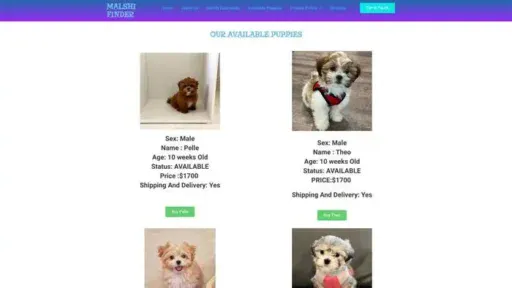 Screenshot of