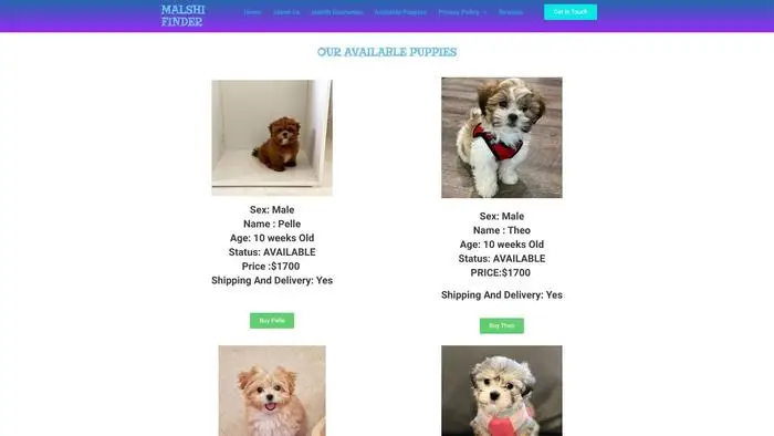 Screenshot of