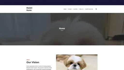 Screenshot of