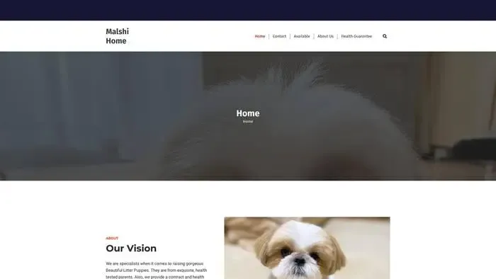 Screenshot of