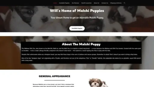 Screenshot of