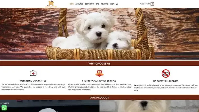 Screenshot of