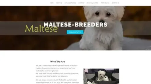 Screenshot of