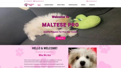 Screenshot of