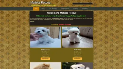 Screenshot of