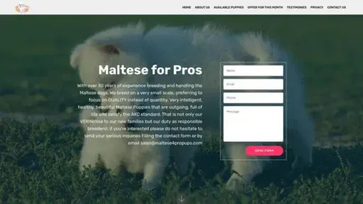 Screenshot of