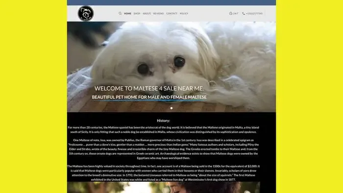 Screenshot of