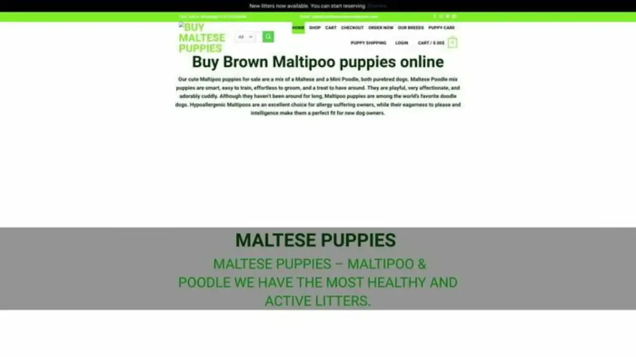 Screenshot of||