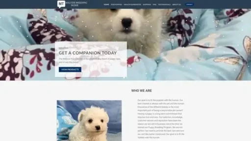 Screenshot of