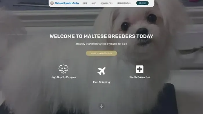 Screenshot of