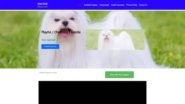 Screenshot of
