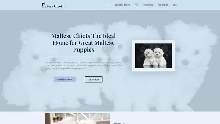 Screenshot of