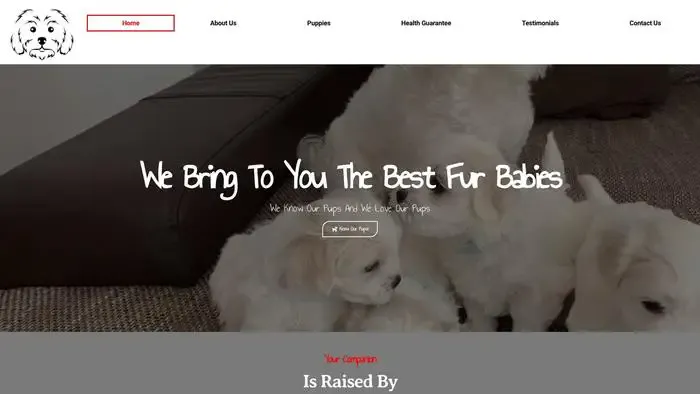 Screenshot of