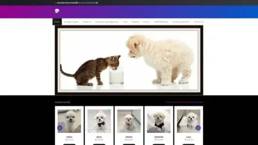 Screenshot of