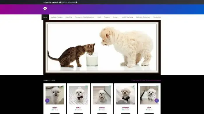 Screenshot of
