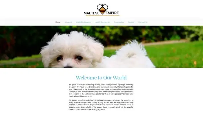 Screenshot of