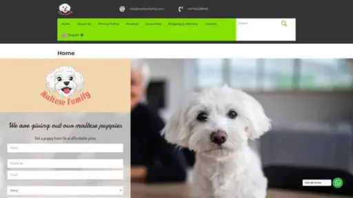 Screenshot of