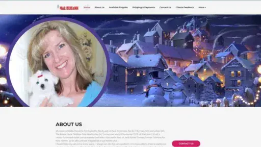 Screenshot of