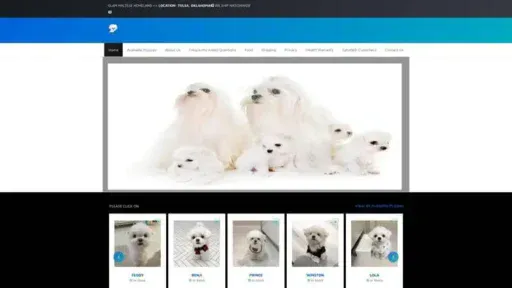 Screenshot of