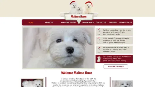 Screenshot of