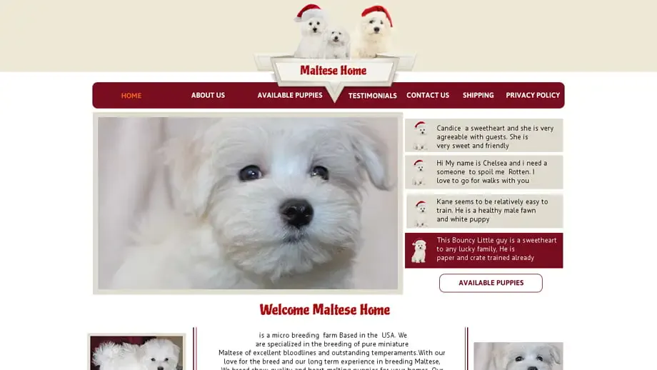 Screenshot of
