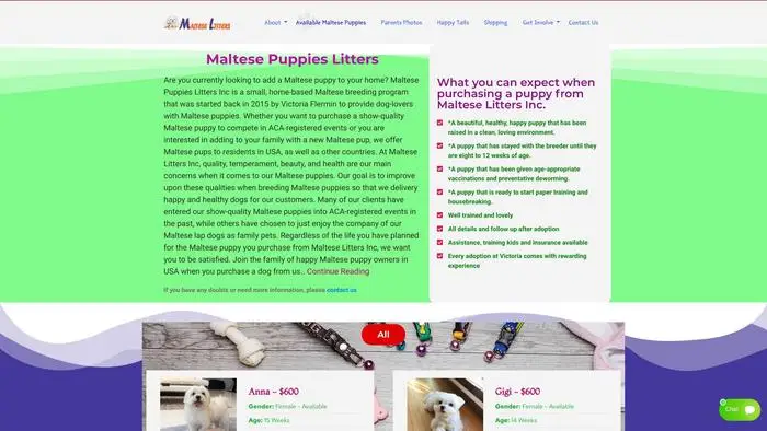 Screenshot of