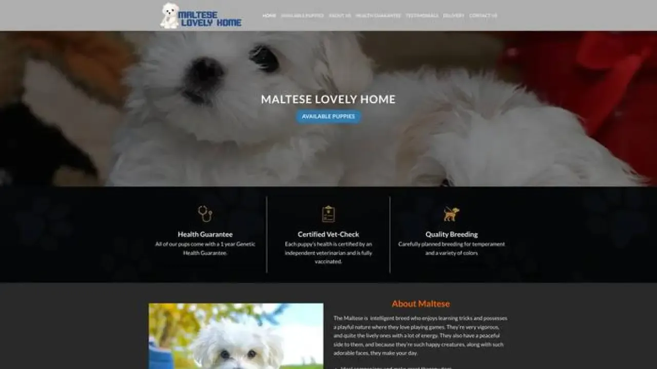Malteselovelyhome
