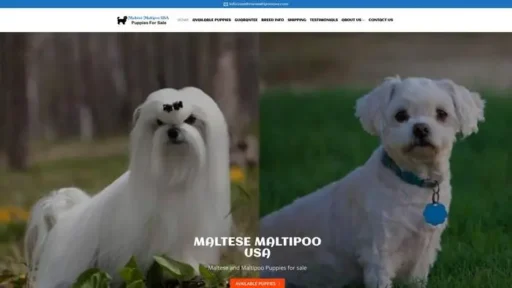 Screenshot of