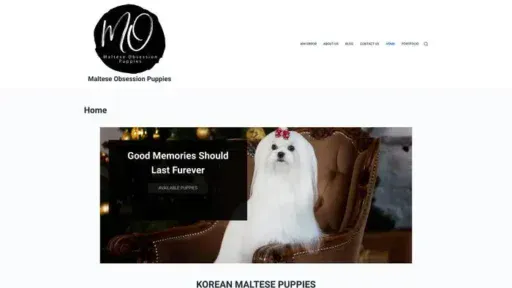 Screenshot of