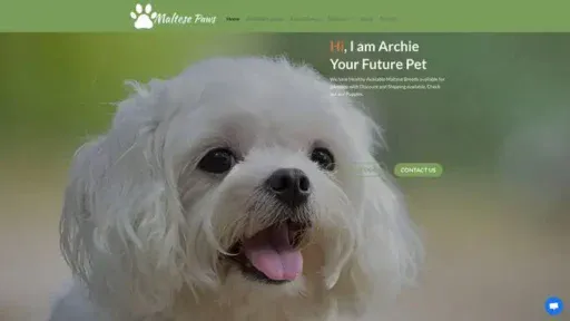 Screenshot of