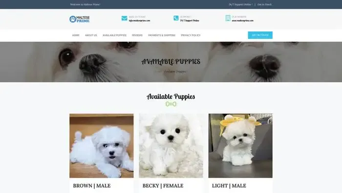 Screenshot of