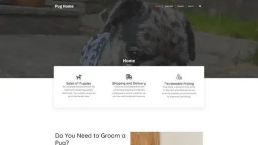 Screenshot of