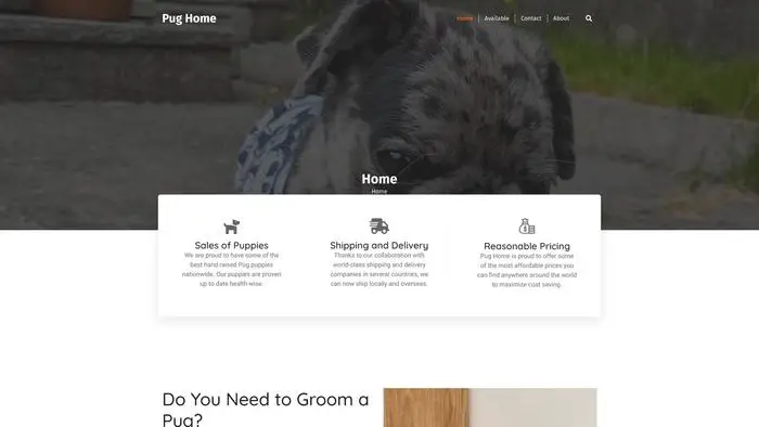 Screenshot of