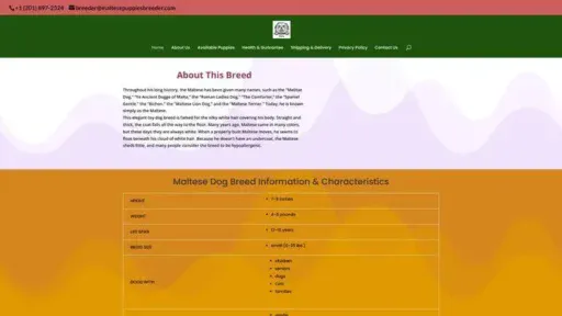 Screenshot of