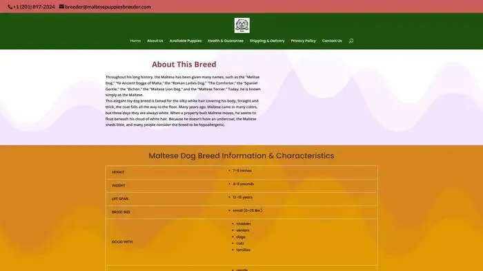 Screenshot of