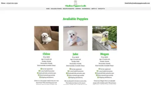 Screenshot of