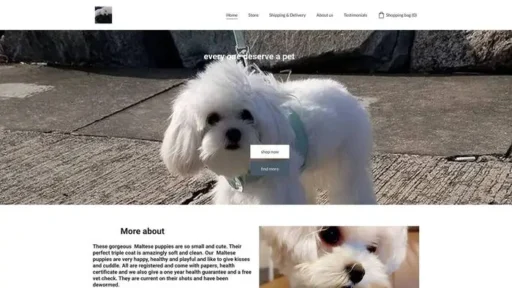 Screenshot of