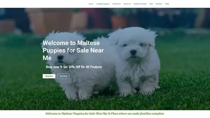 Screenshot of