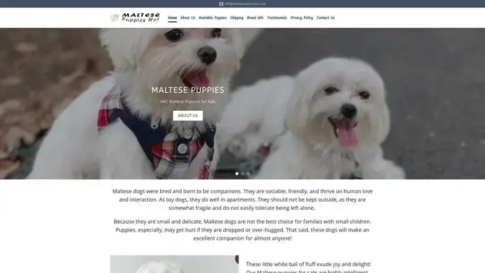 Screenshot of