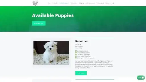 Screenshot of