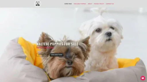Screenshot of||